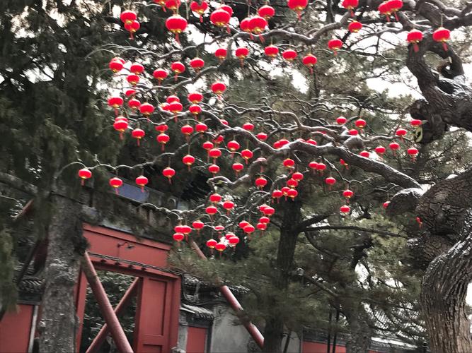 元宵节南北雨雪打灯,仓配一体,时效速达