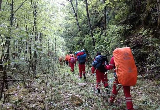 徒步秦岭失联10余天,物流专线直达_123随叫随到