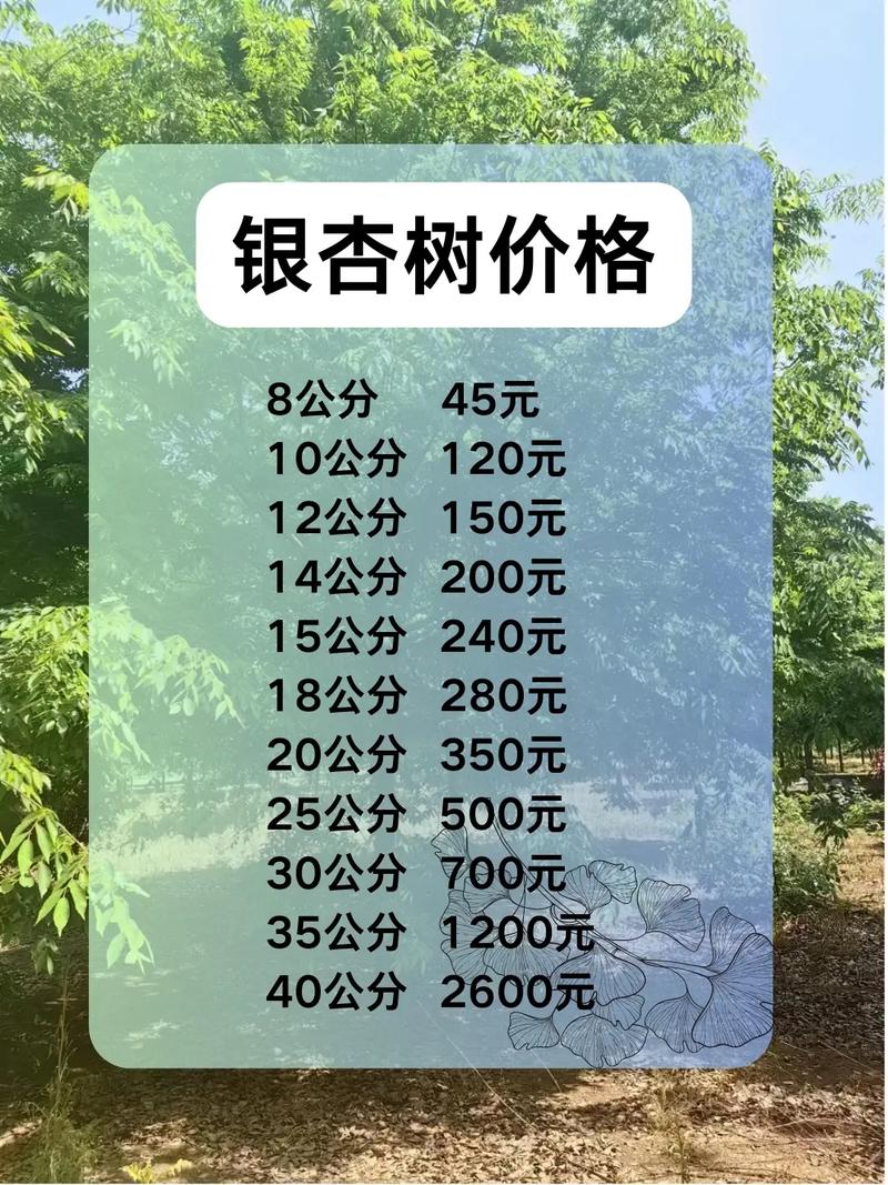 300年古银杏树被砍,上门取货_123随叫随到