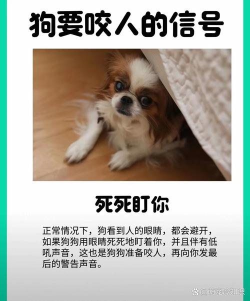 狗扑人致死判赔40万,天天发车准时送达_123随叫随到