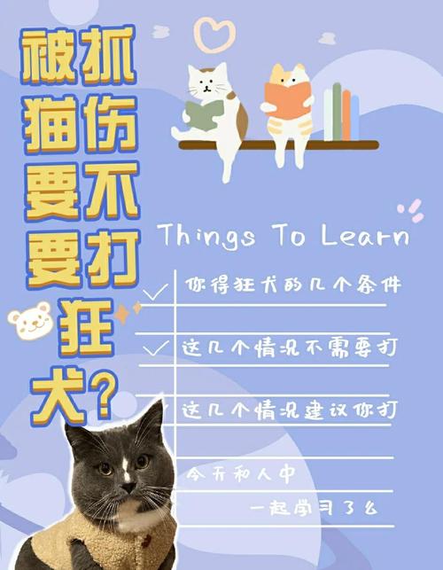 被宠物猫咬伤腿溃烂,天天发车准时送达_123随叫随到