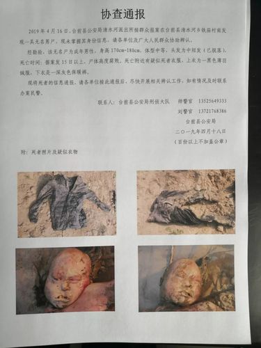树林中发现无名男尸,仓配一体,时效速达