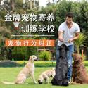 被宠物猫咬伤腿溃烂,快递单号查询_123随叫随到