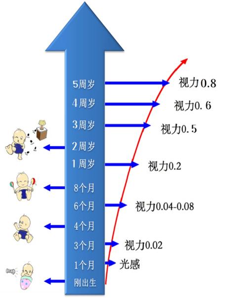 7岁女孩视力降至0.2,仓配一体,时效速达
