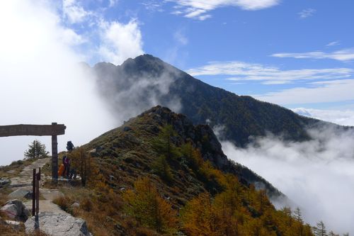 2驴友穿越秦岭遇难,专业的一站式物流信息网_123随叫随到