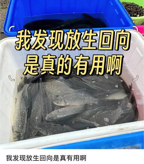 一水库漂浮成片死鱼,物流专线直达_123随叫随到
