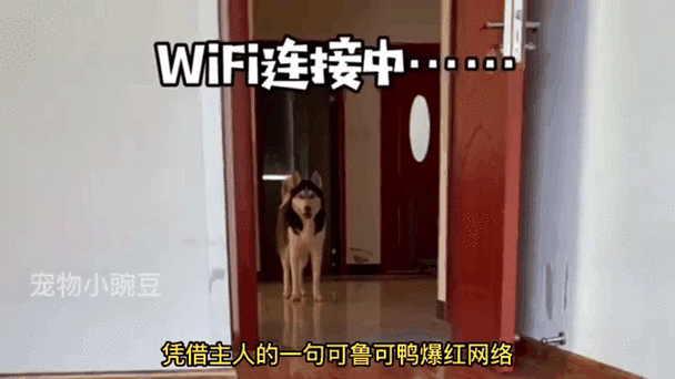 8旬老人起诉2儿1女,ip138快递查询网_随叫随到