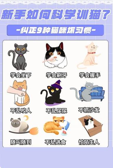 景区人猫游园人免费,物流专线直达_123随叫随到