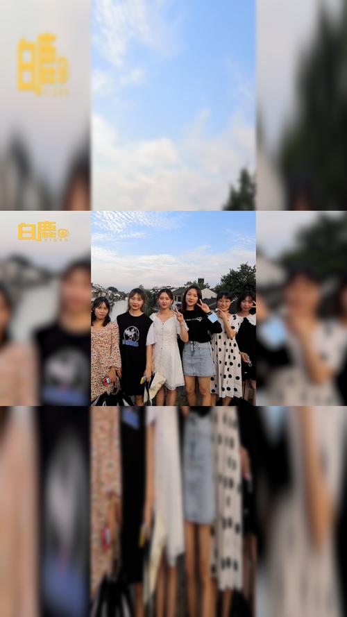 学霸宿舍5人全上岸,快递单号查询_123随叫随到
