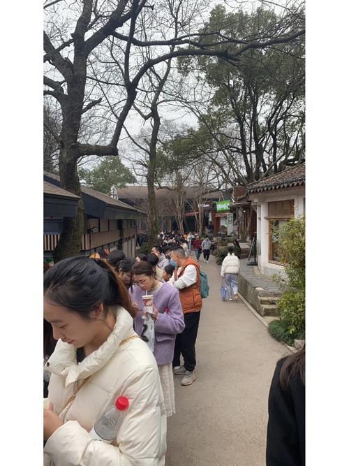 岳麓山索道夜间运营,快递单号查询_123随叫随到