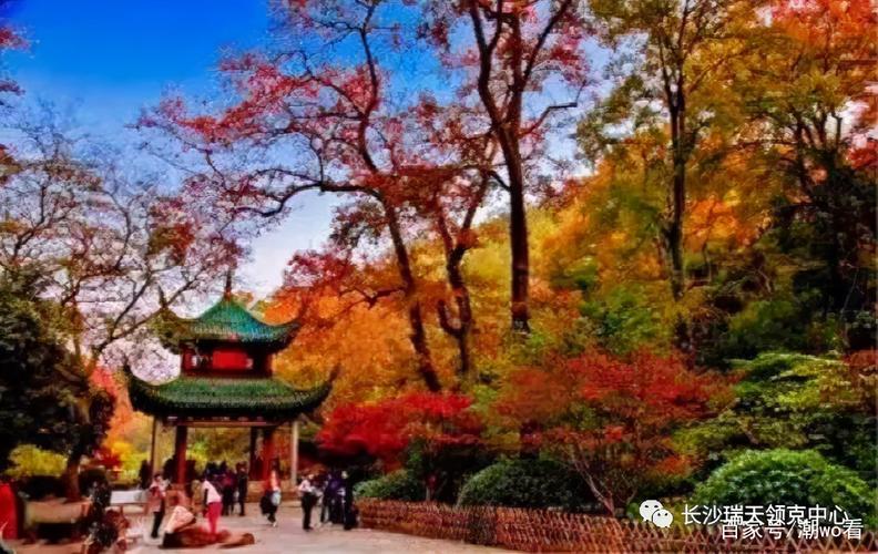 岳麓山索道夜间运营,仓配一体,时效速达