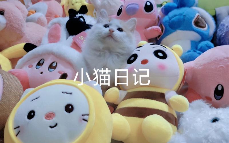 猫掉进火锅烫伤9人,快递单号查询_123随叫随到