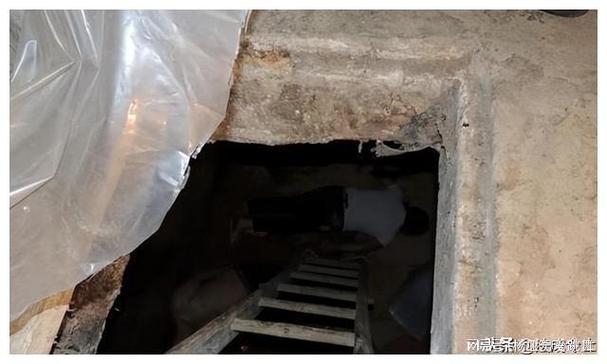 地下室囚禁两女7年,让发货找车找物流更简单_123随叫随到