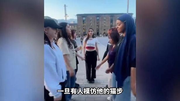 网红猫爷涨粉近70万,专业的一站式物流信息网_123随叫随到