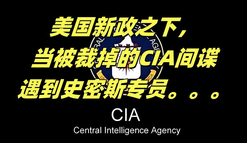 CIA中文视频招间谍,ip138快递查询网_随叫随到