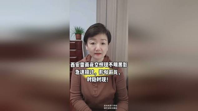 西安夜空现不明黑影,ip138快递查询网_随叫随到