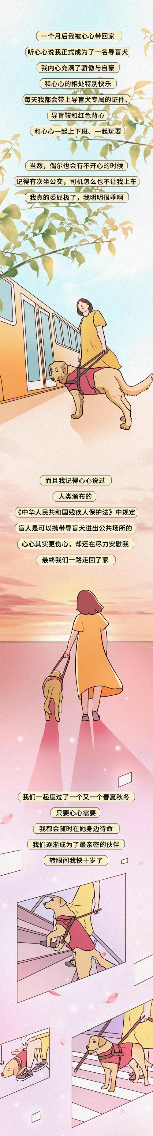 带导盲犬住全季被拒,专业的一站式物流信息网_123随叫随到