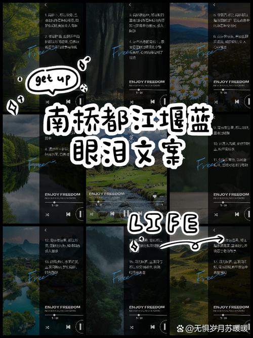 灯照海面误认蓝眼泪,让发货找车找物流更简单_123随叫随到