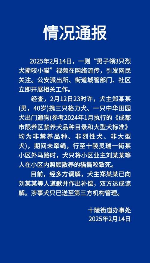 流浪犬进教室被打死,上门取货_123随叫随到