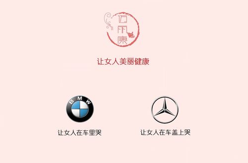 众泰高管拿百万年薪,物流专线直达_123随叫随到