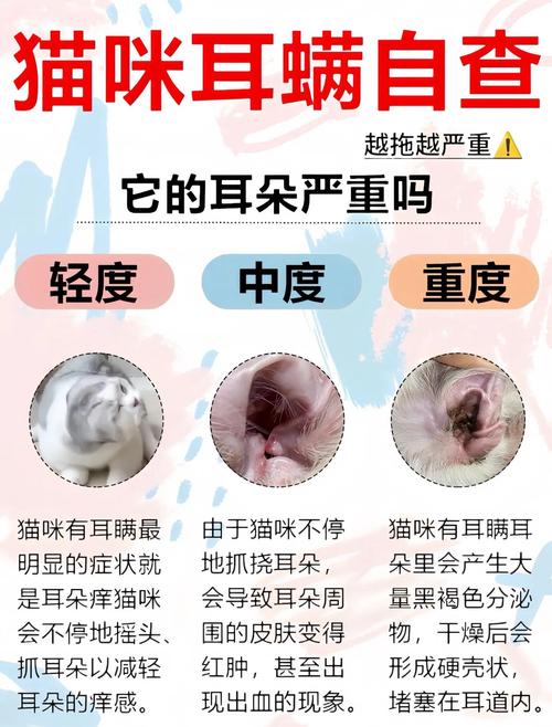 耳中取出活体猫螨虫,天天发车准时送达_123随叫随到