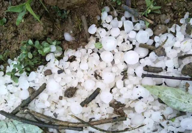 贵州一地突降冰雹,快递单号查询_123随叫随到