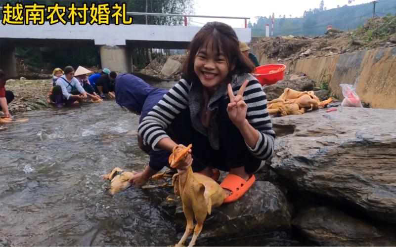 万人观看直播拔鸡毛,物流专线直达_123随叫随到
