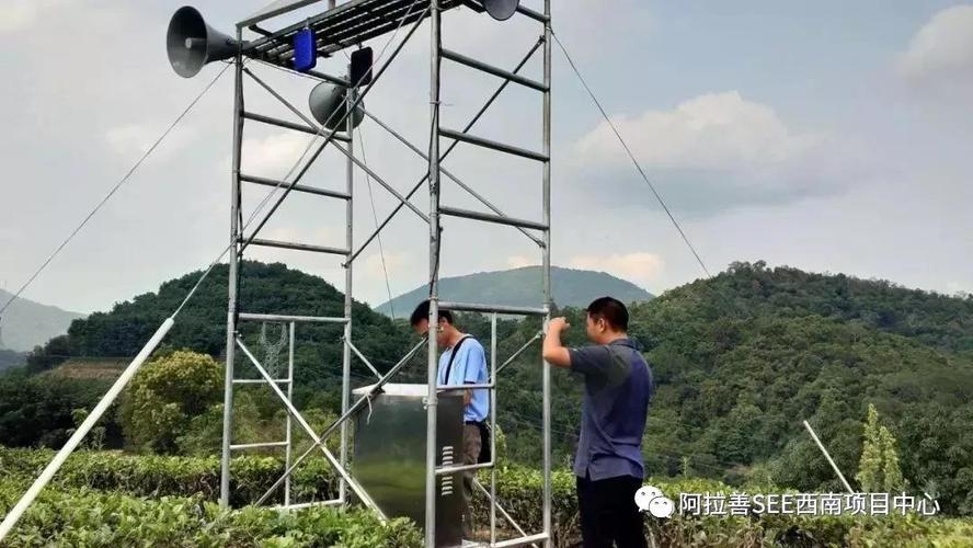 野象伤人致1人死亡,物流专线直达_123随叫随到