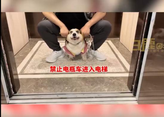 被困自家电梯1天1夜,让发货找车找物流更简单_123随叫随到