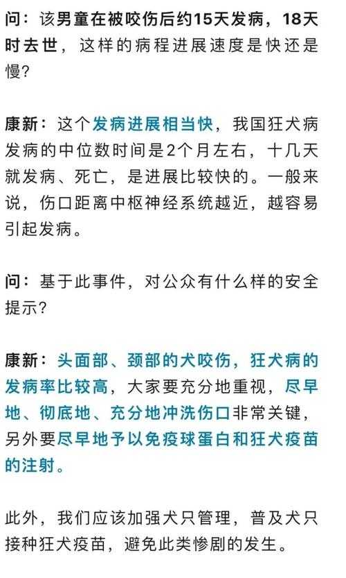 女童被狗扑咬受伤,快递单号查询_123随叫随到