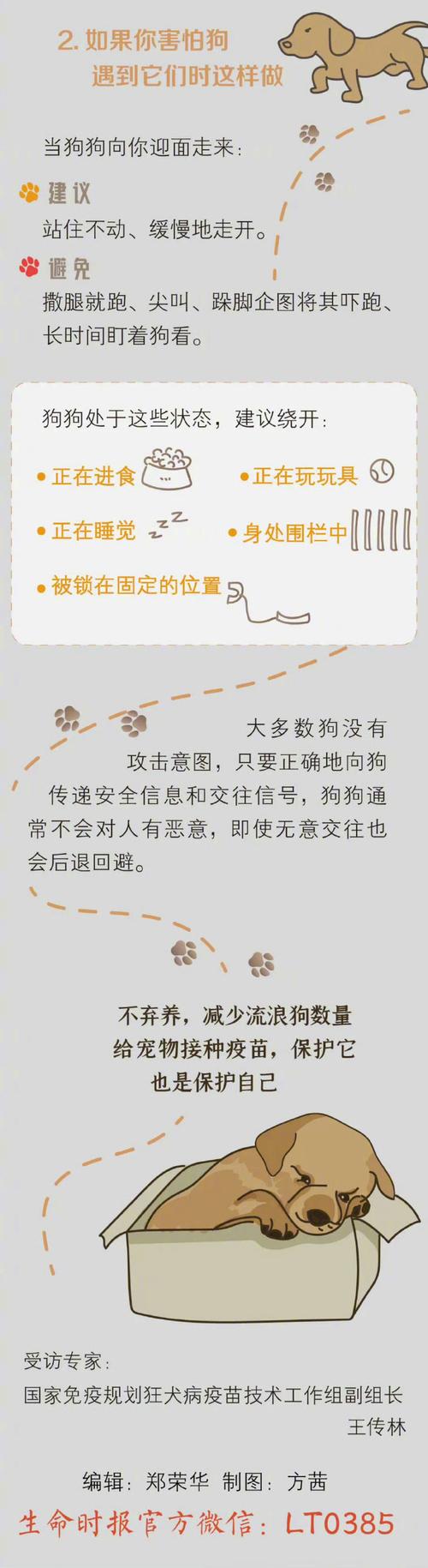 女童被狗扑咬受伤,上门取货_123随叫随到