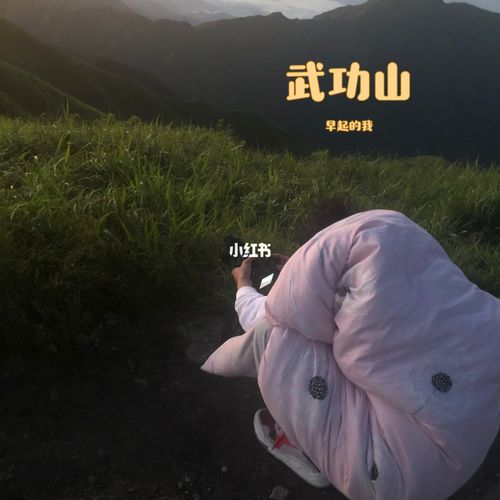 武功山有大量臭屁虫,快递单号查询_123随叫随到
