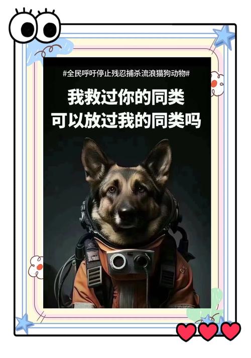 女童被狗扑咬受伤,仓配一体,时效速达