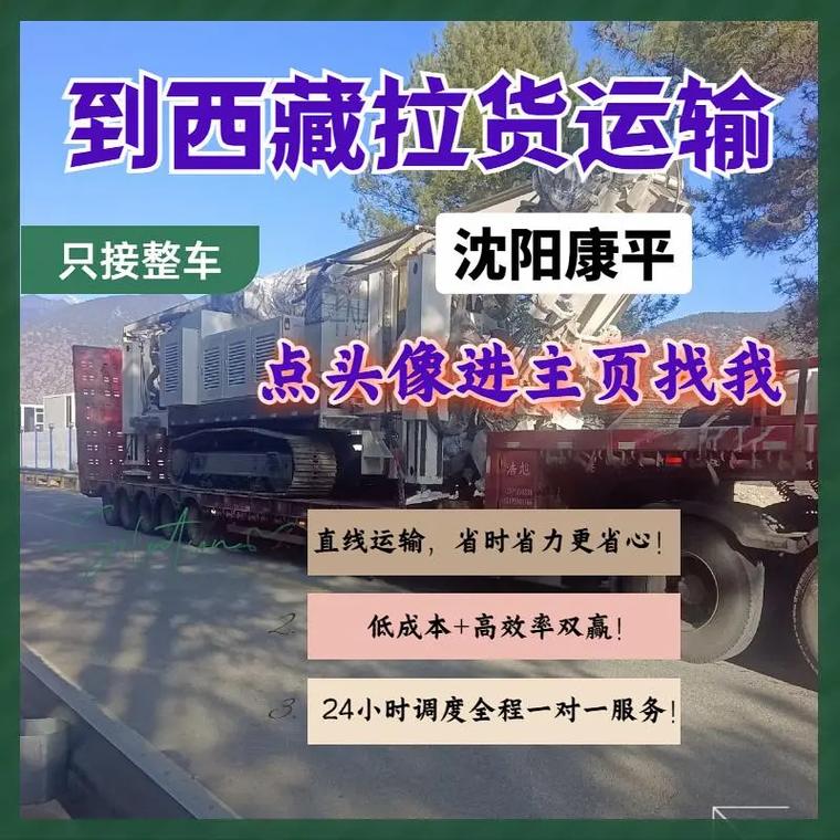 女子被强制带走治疗,专业的一站式物流信息网_123随叫随到
