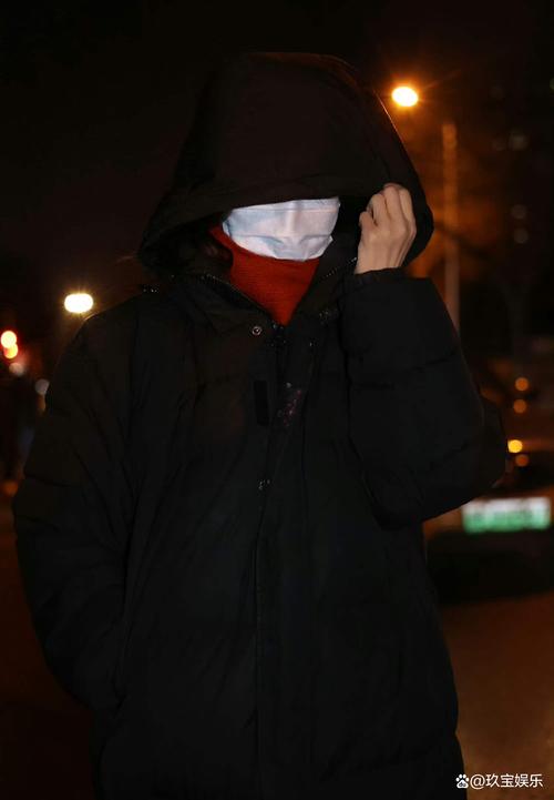 偶遇王菲谢霆锋约会,专业的一站式物流信息网_123随叫随到