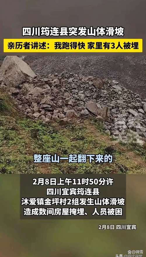 山体滑坡致2人遇难,仓配一体,时效速达