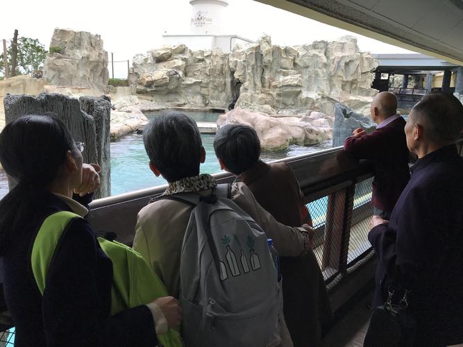 海洋馆员工脚踢海狮,快递单号查询_123随叫随到