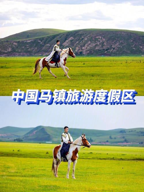 多匹马失温冻死草原,专业的一站式物流信息网_123随叫随到