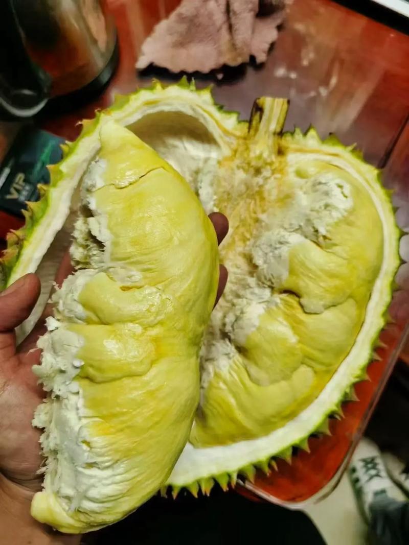榴莲又便宜了,专业的一站式物流信息网_123随叫随到