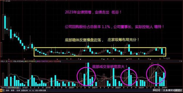 比亚迪股价跌超8%,天天发车准时送达_123随叫随到