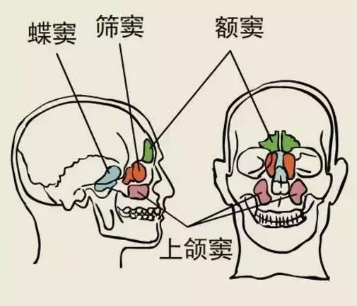 挖鼻孔满脸肿胀变形,快递单号查询_123随叫随到