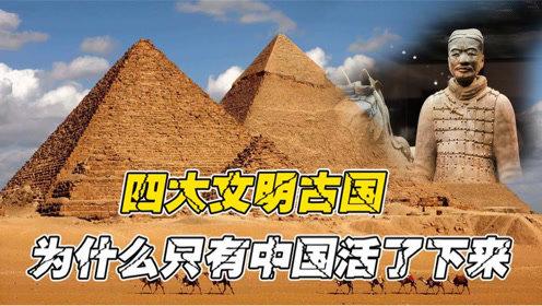 印度成第四大经济体,ip138快递查询网_随叫随到
