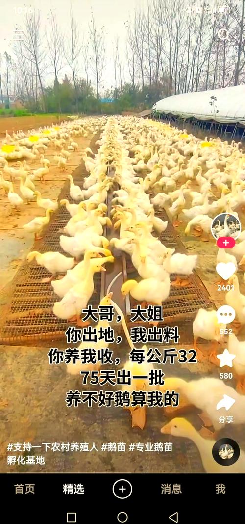 央视曝光云养殖骗局,仓配一体,时效速达