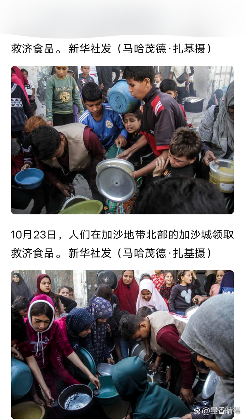 加沙数万难民抢食物,仓配一体,时效速达