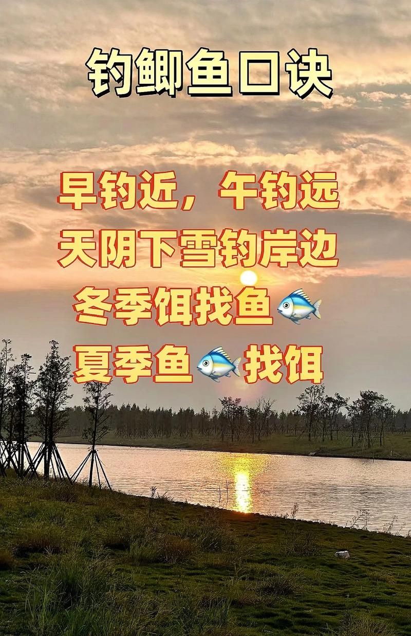 保护区里的疯狂垂钓,物流专线直达_123随叫随到