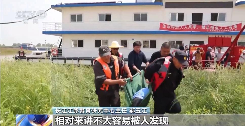 保护区里的疯狂垂钓,ip138快递查询网_随叫随到