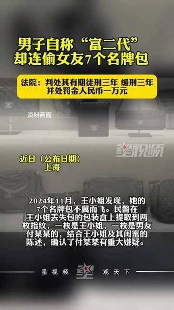 偷女友7个包卖11万,物流专线直达_123随叫随到