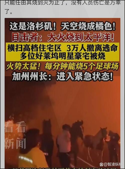加拿大多地野火肆虐,物流专线直达_123随叫随到