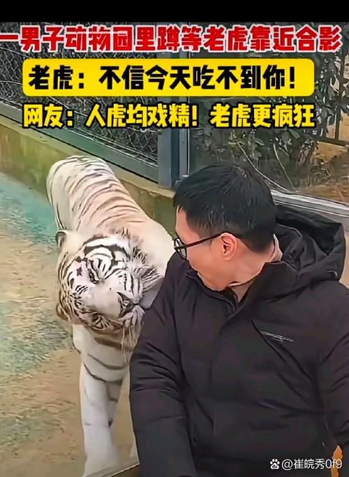 摸老虎屁股遭扑咬,仓配一体,时效速达