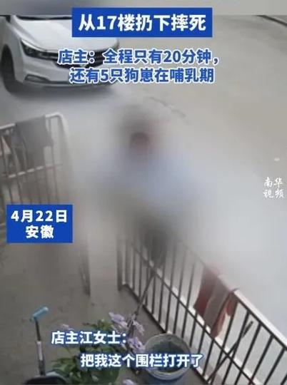 7岁男孩遭3只犬撕咬,上门取货_123随叫随到